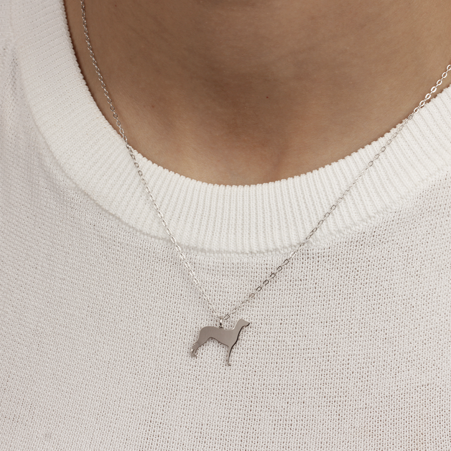 Collar Braco de Weimar de Plata 925 Personalizado