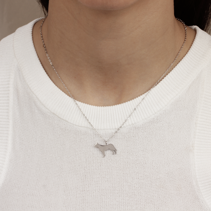 Collar Personalizable Pastor Alemán