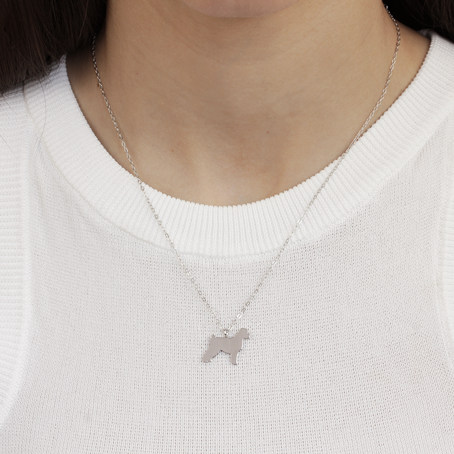 Collar Personalizable Perro de Agua