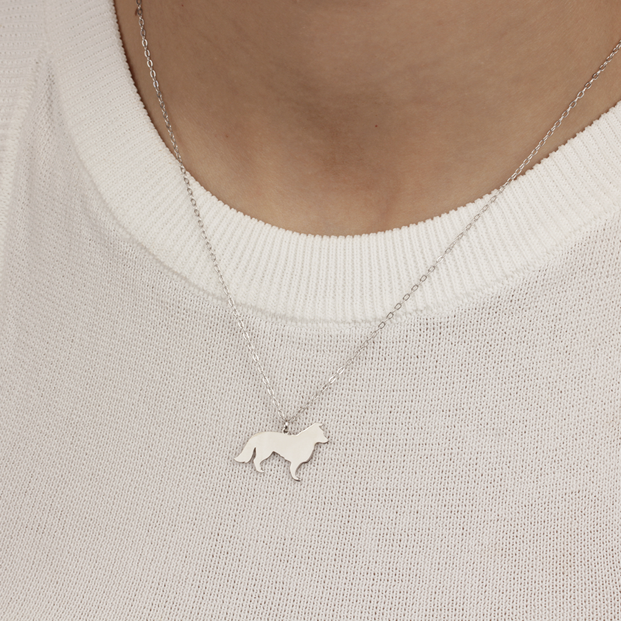 Collar Personalizable Border Collie