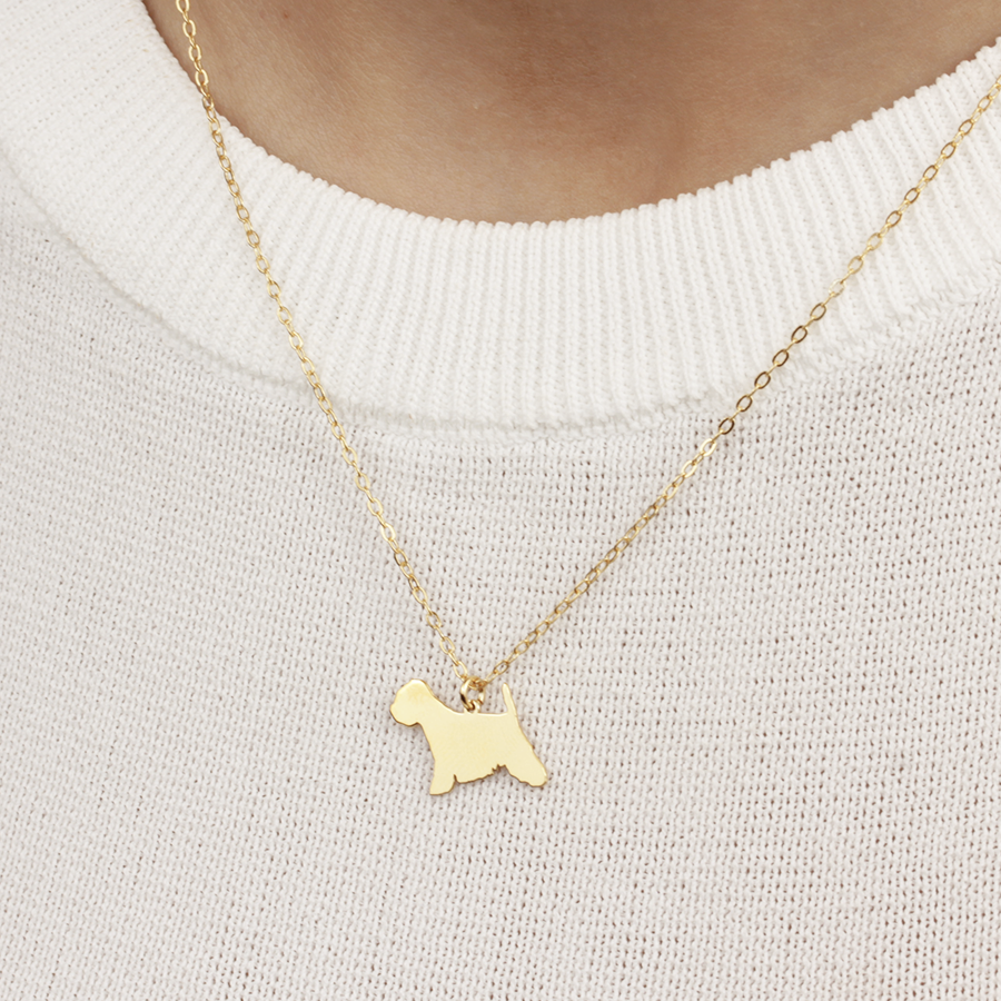 Collar Terrier de Plata 925 para Mujer Personalizado