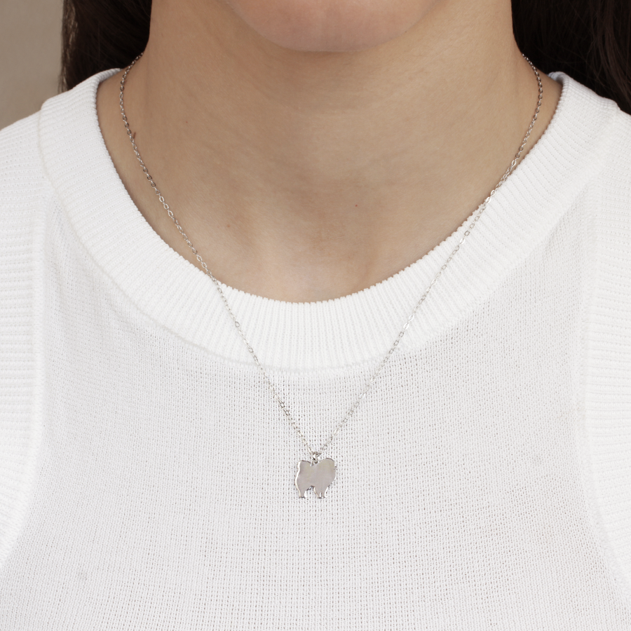 Collar Personalizable Pomerania