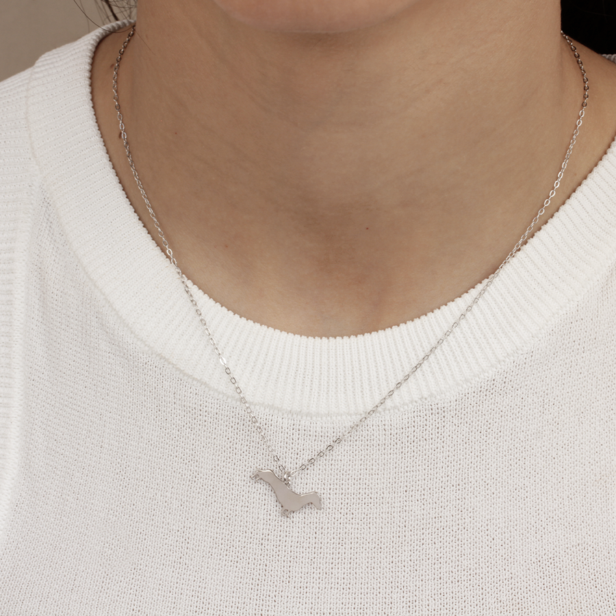 Collar Personalizable Teckel