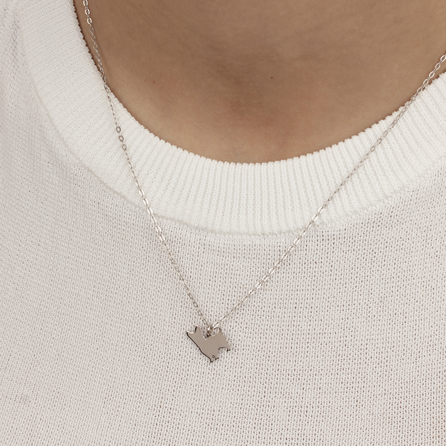 Collar Yorkshire de Plata 925 Personalizado