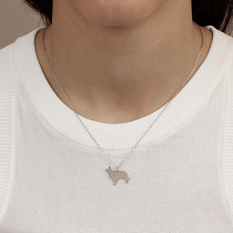 Collar Personalizable Golden Retriever