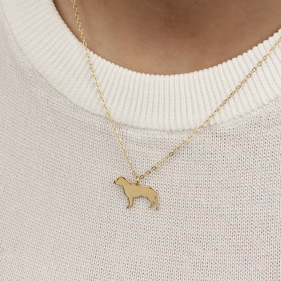 Collar Pitbull de Plata 925 para Mujer Personalizado