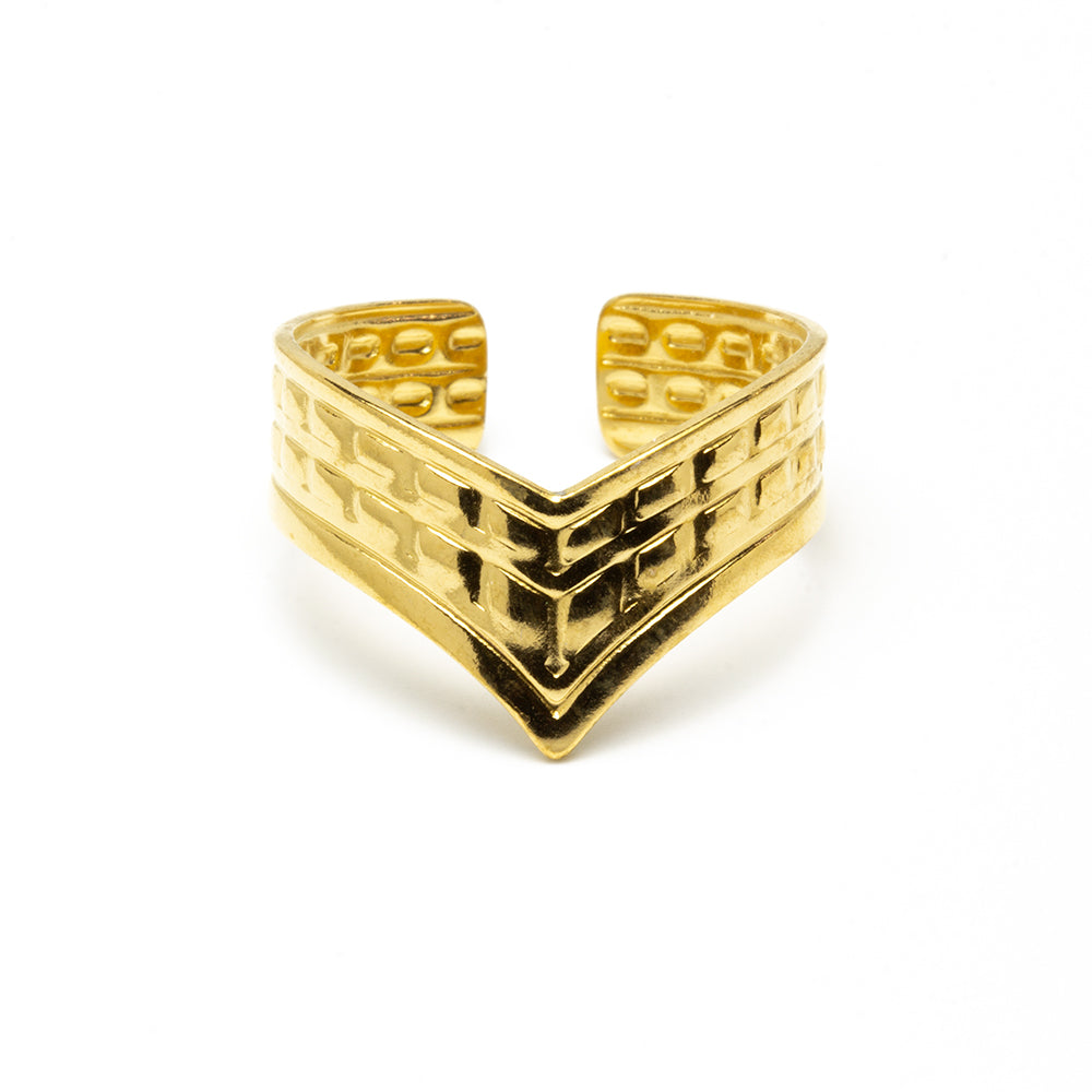 Anillo Pico Ajustable de Acero
