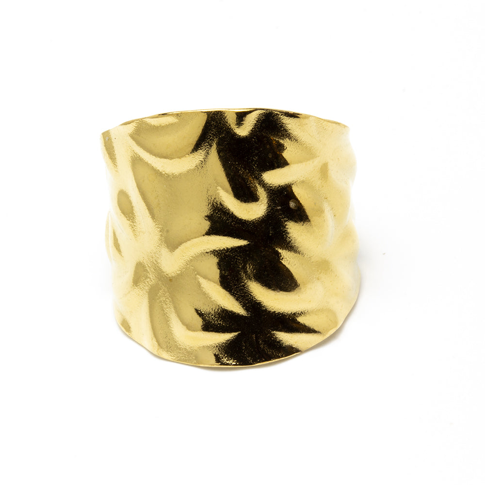 Anillo Ajustable de Acero