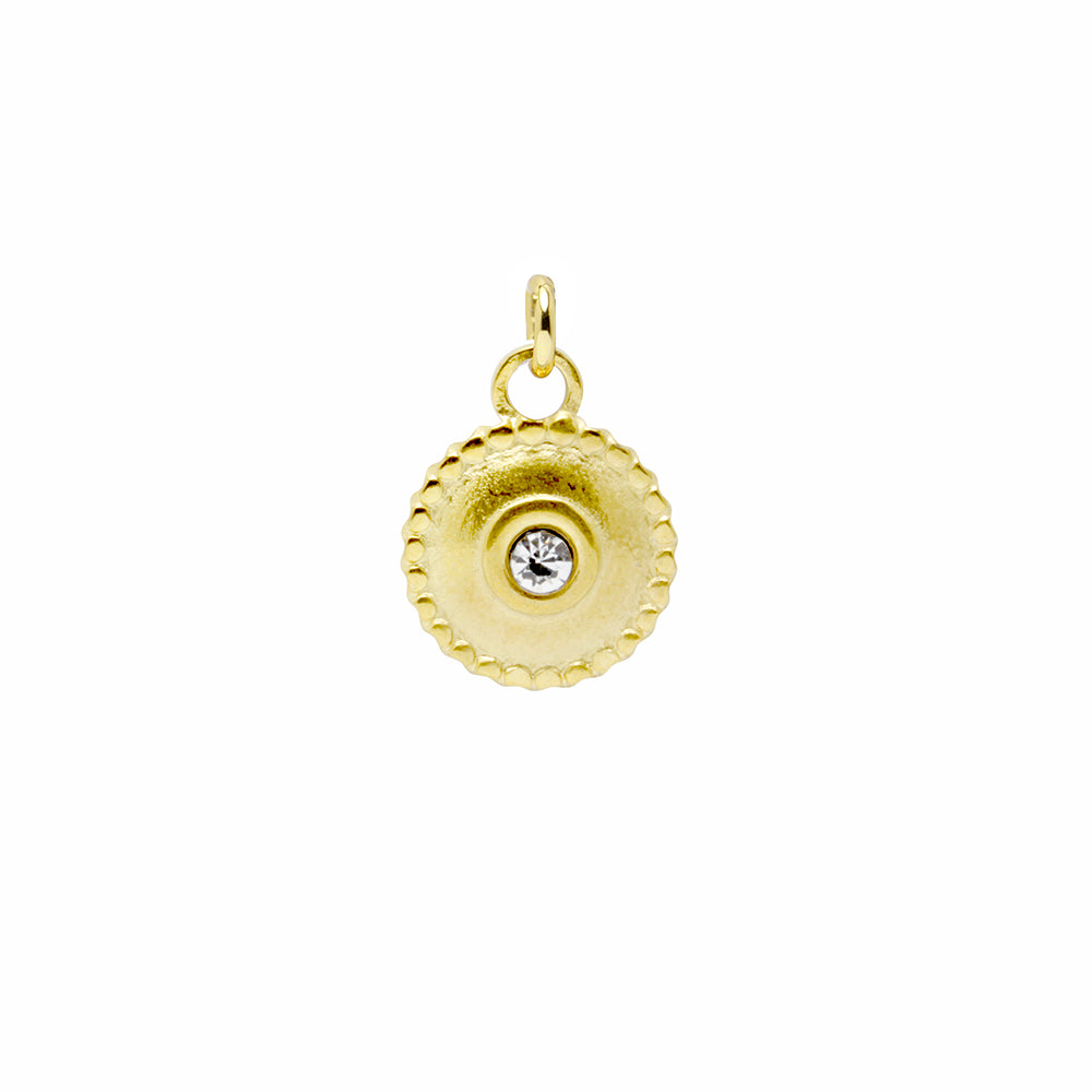Charm Medalla Shield de Acero