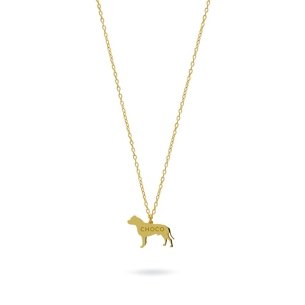 Collar Pitbull de Plata 925 para Mujer Personalizado