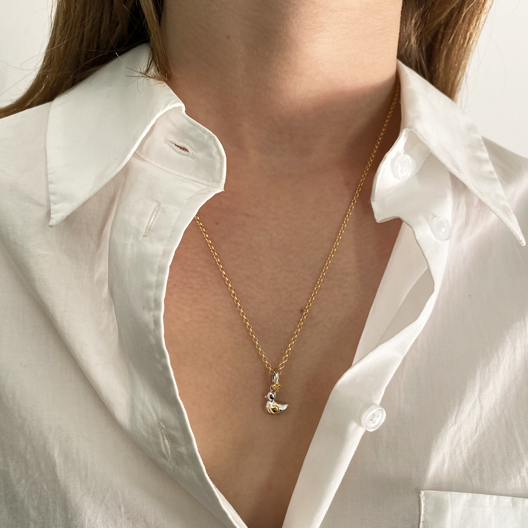 Collar Patito Personalizable