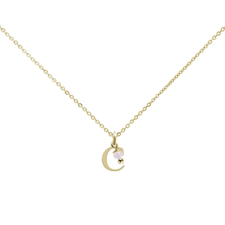 Colgante Charm Rosa de Acero con Inicial Grabada
