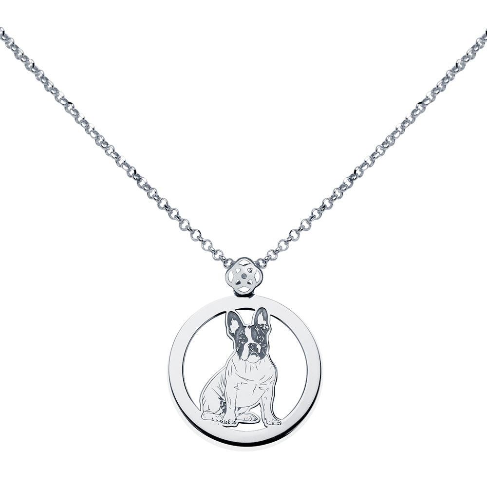 Collar Personalizado con Foto Mascota Halo