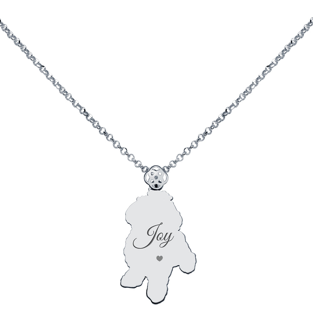 Collar de Plata 925 con Foto de Mascota