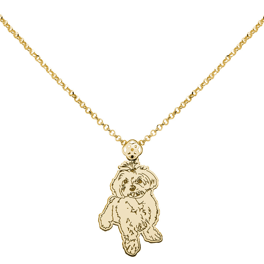 Collar de Plata 925 con Foto de Mascota