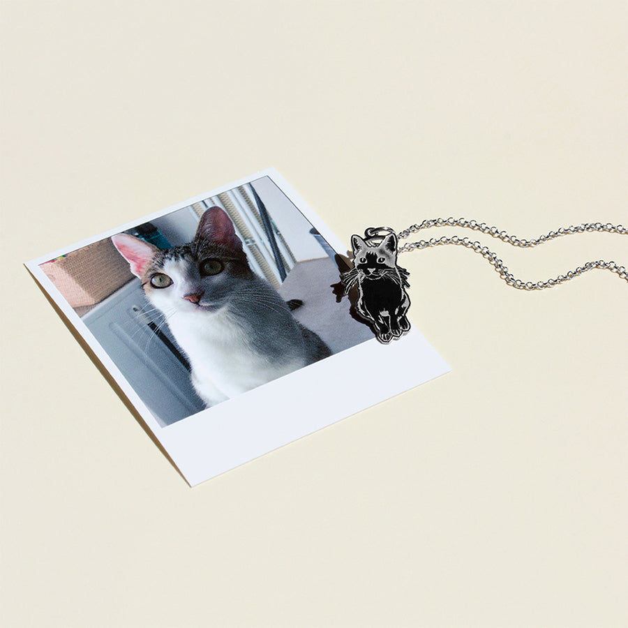 Collar Personalizado con Foto Mascota