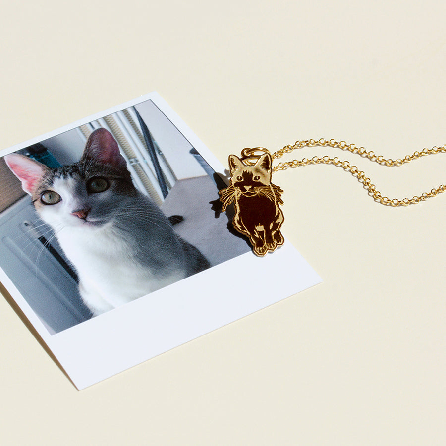 Collar de Plata 925 con Foto de Mascota