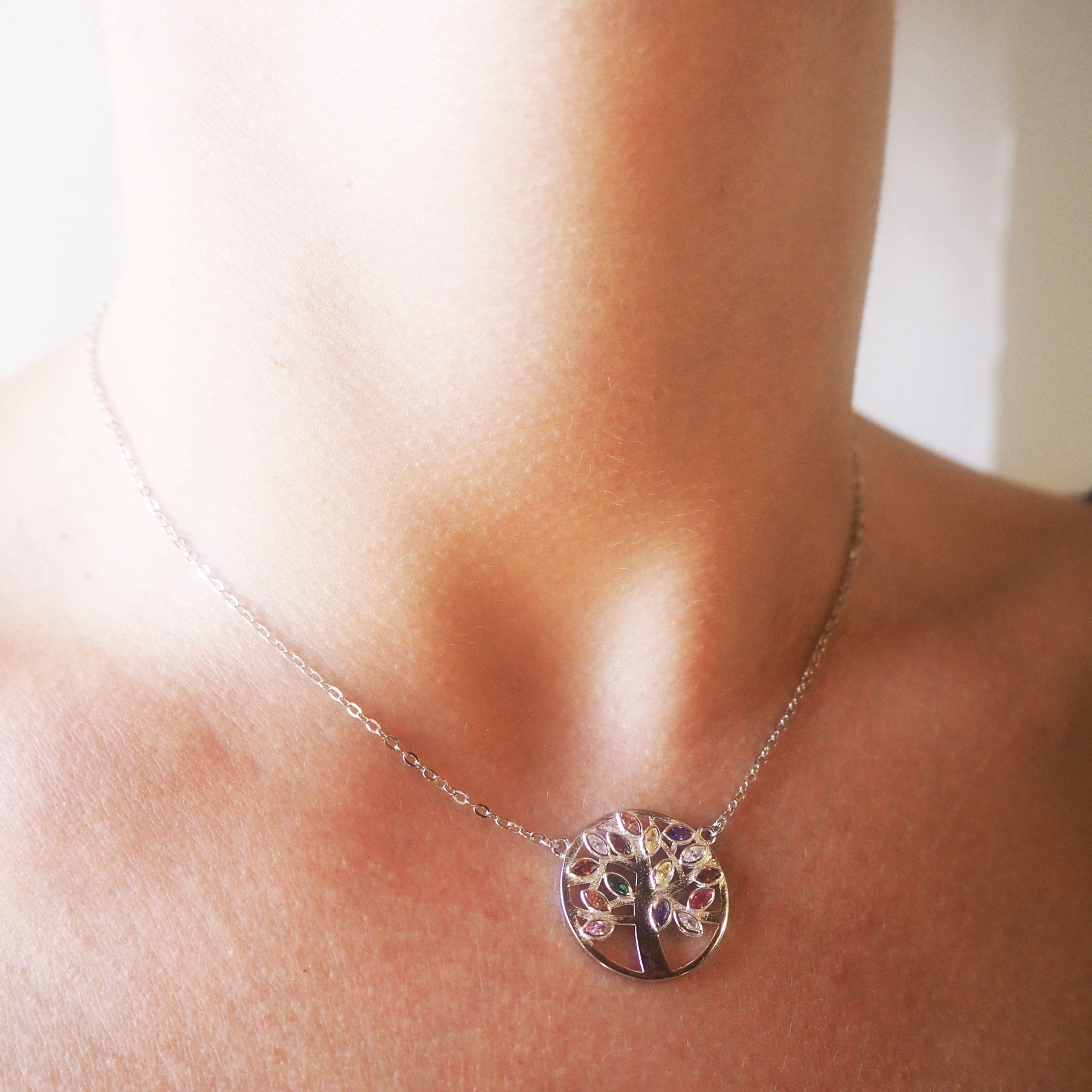Collar Colorful Vida de Plata 925
