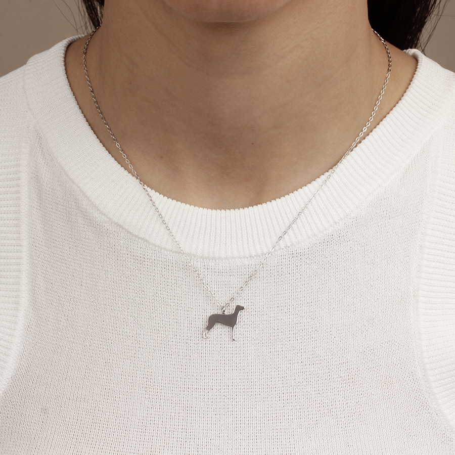 Collar Personalizable Braco de Weimar