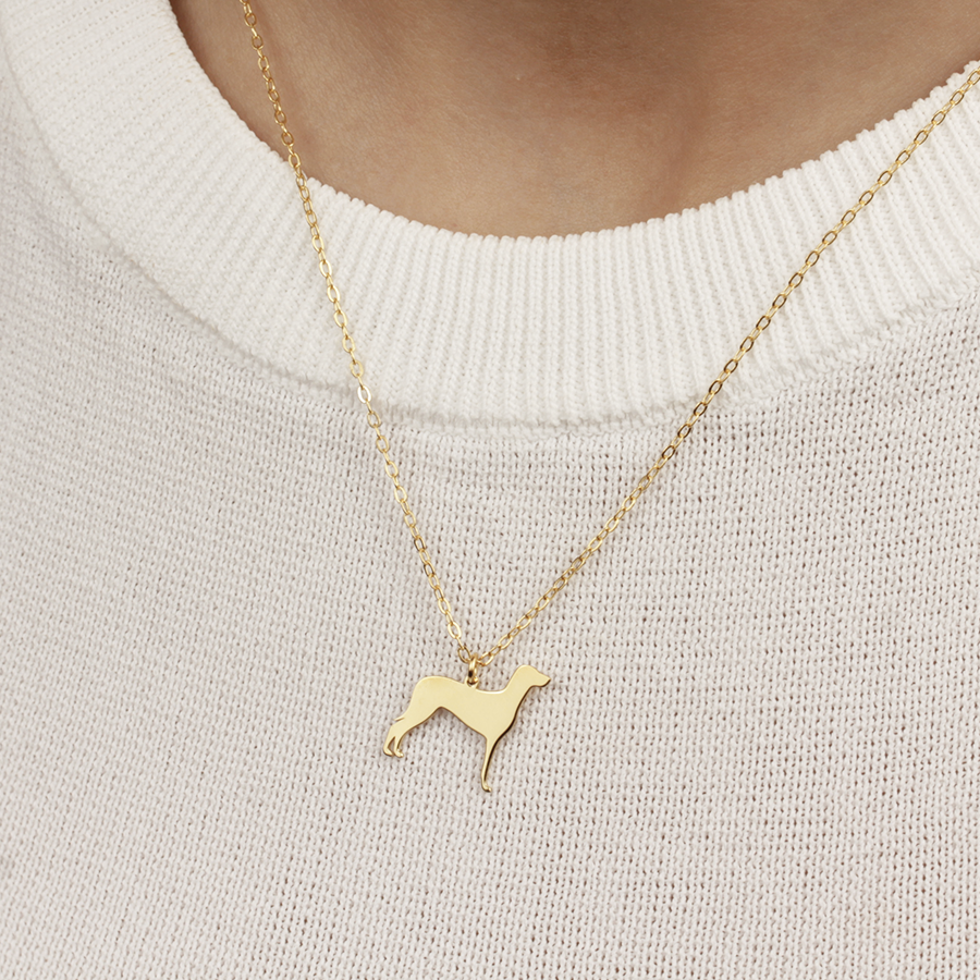 Collar Personalizable Braco de Weimar