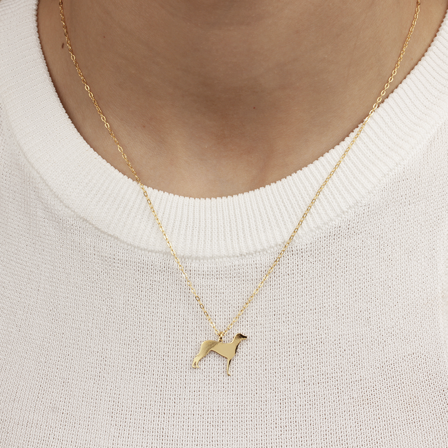 Collar Personalizable Braco de Weimar