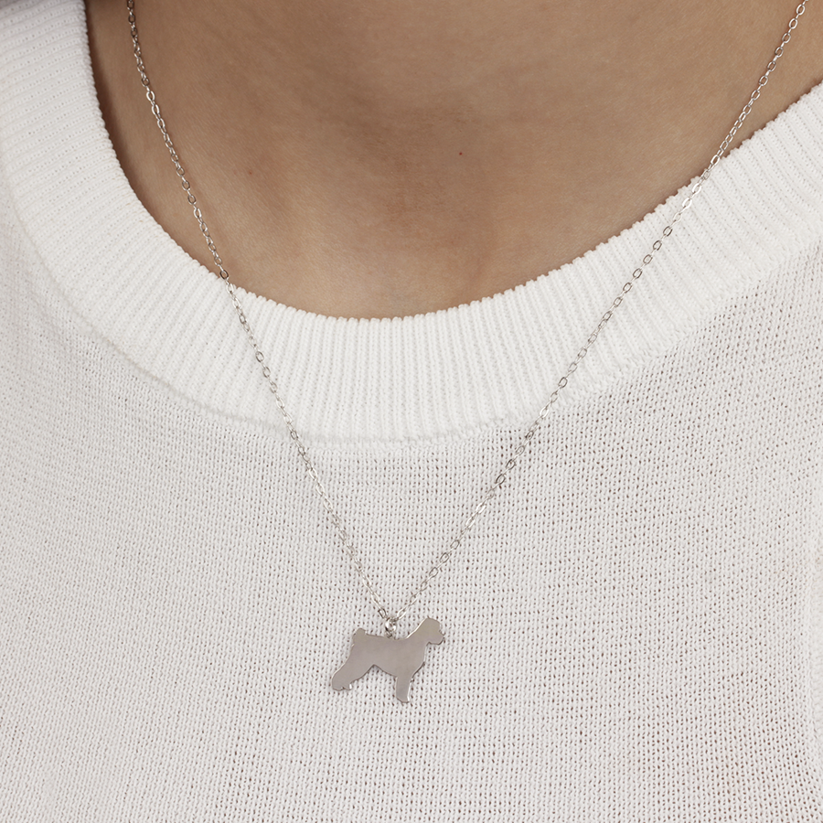 Collar Personalizable Perro de Agua