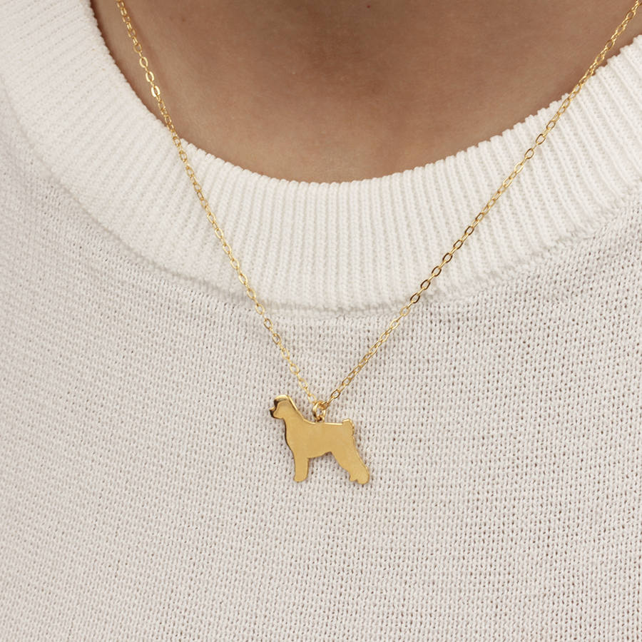 Collar Personalizable Perro de Agua