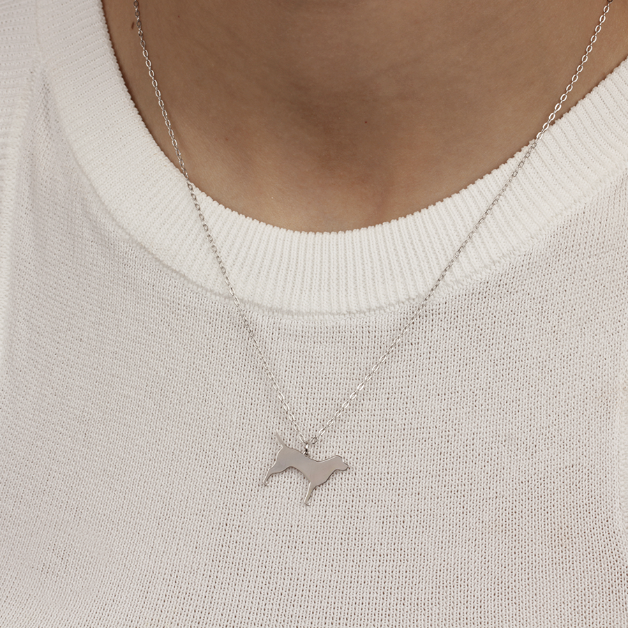 Collar Personalizable Labrador Plata