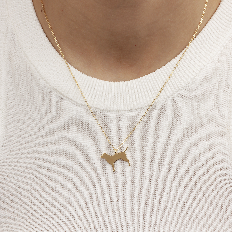 Collar Personalizable Labrador Plata