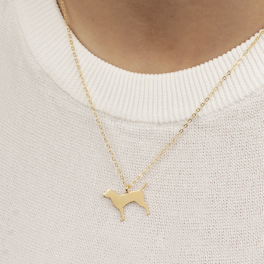 Collar Personalizable Labrador Plata