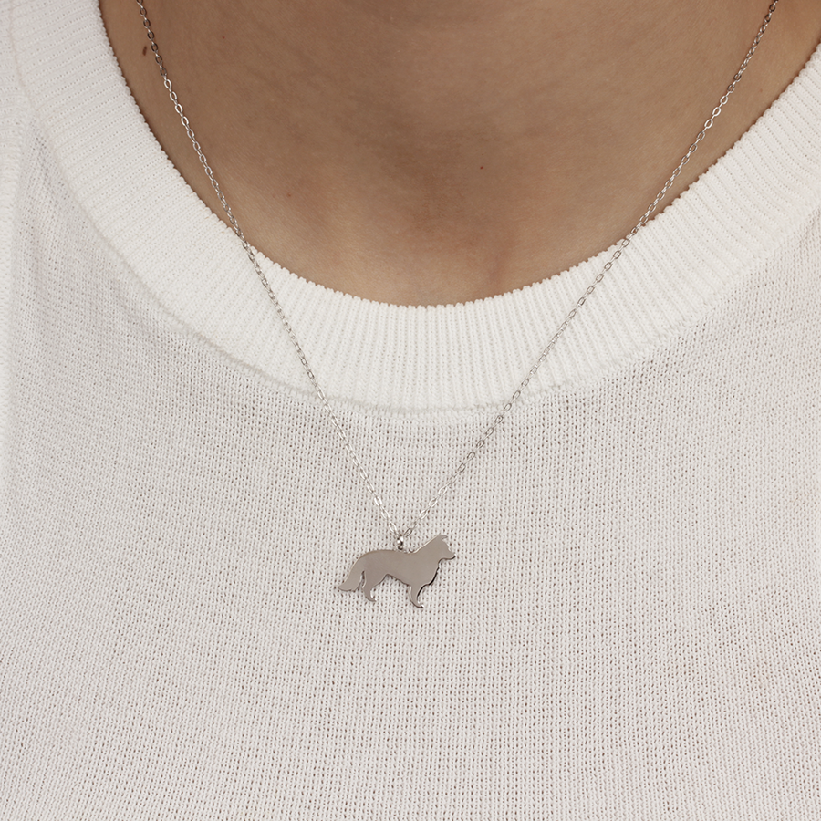 Collar Personalizable Border Collie