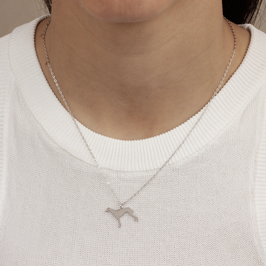 Collar Personalizable Galgo
