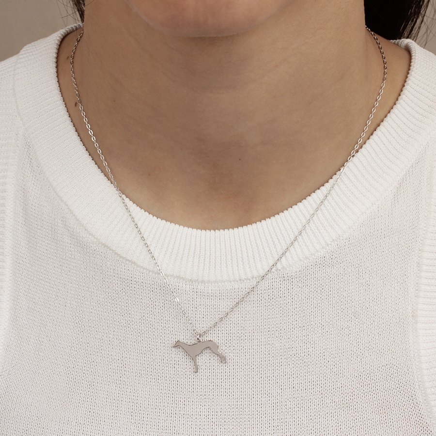 Collar Personalizable Galgo Plata