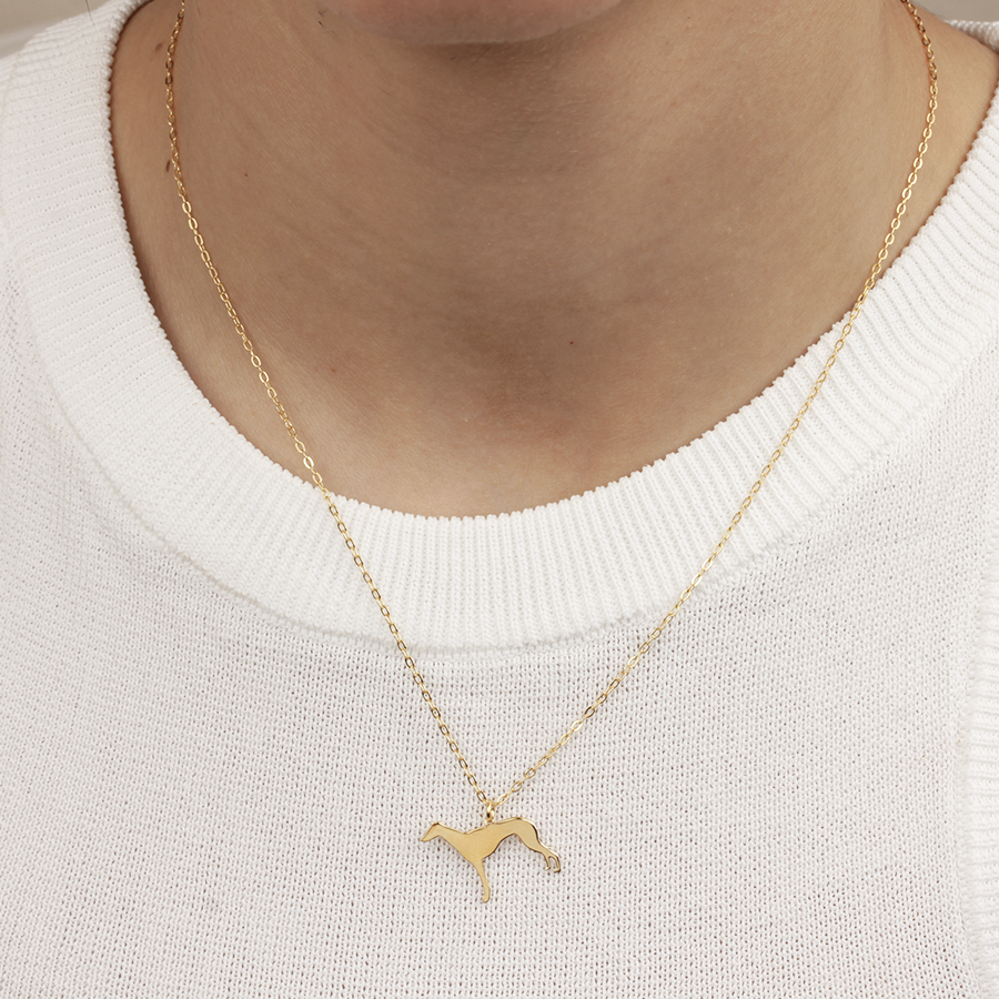 Collar Personalizable Galgo