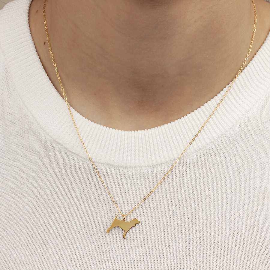 Collar Personalizable Beagle