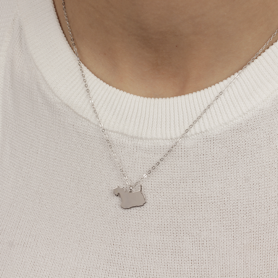 Collar Personalizable Schnauzer