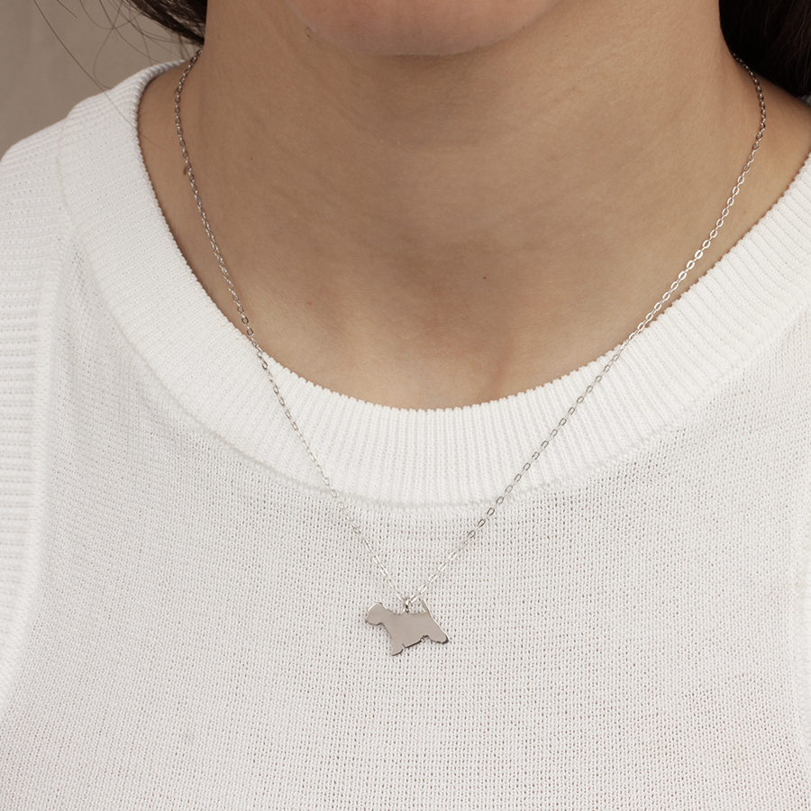 Collar Personalizable Terrier