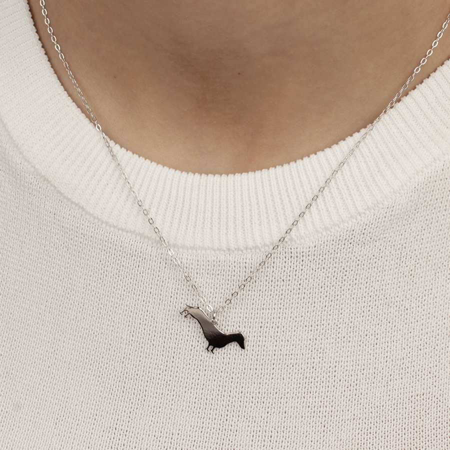 Collar Personalizable Teckel