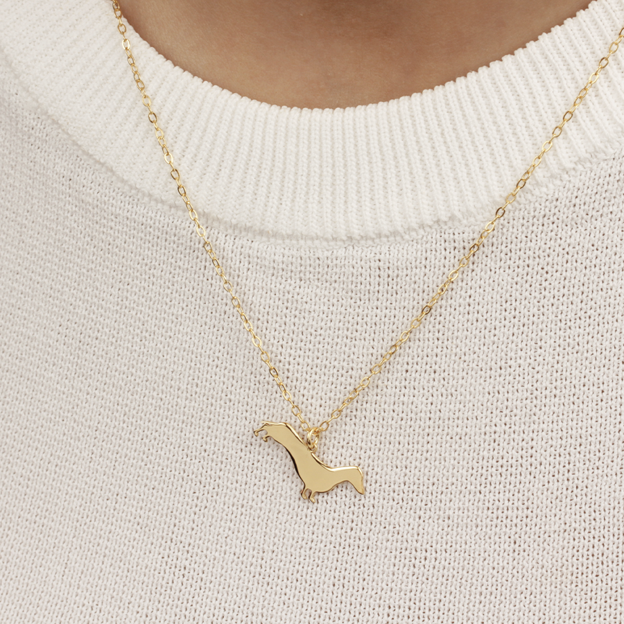 Collar Personalizable Teckel