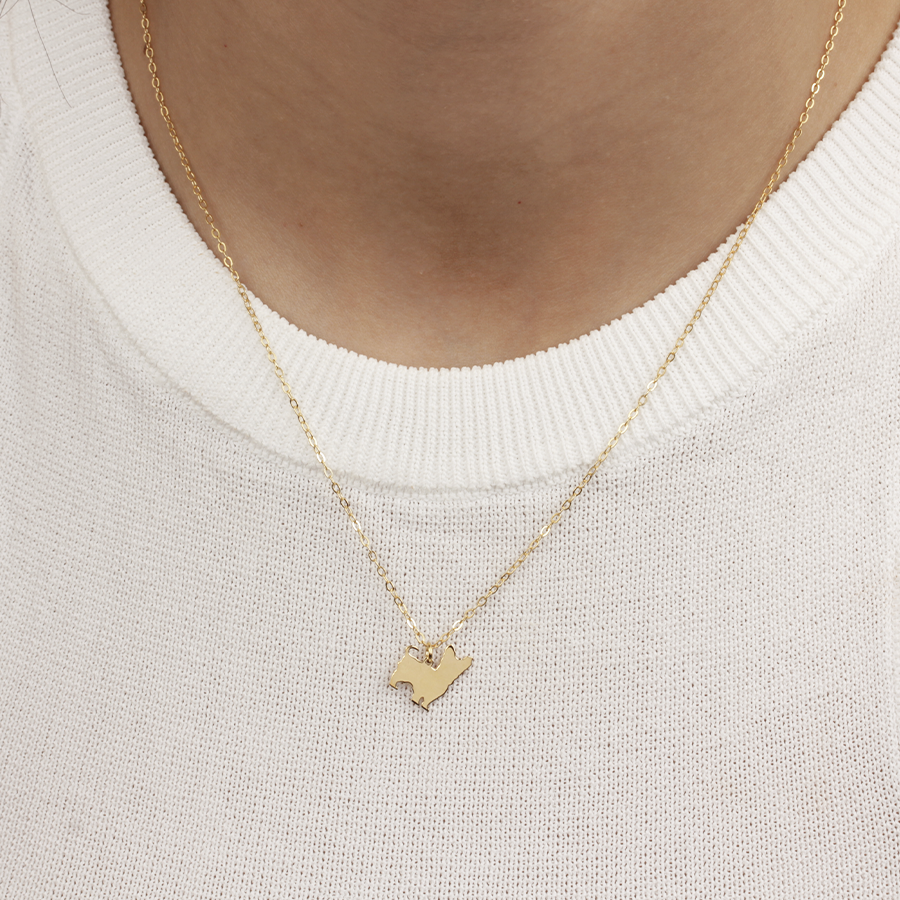 Collar Personalizable Yorkshire