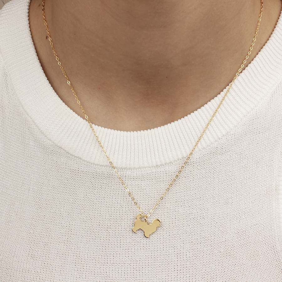 Collar Personalizable Bichón Maltés