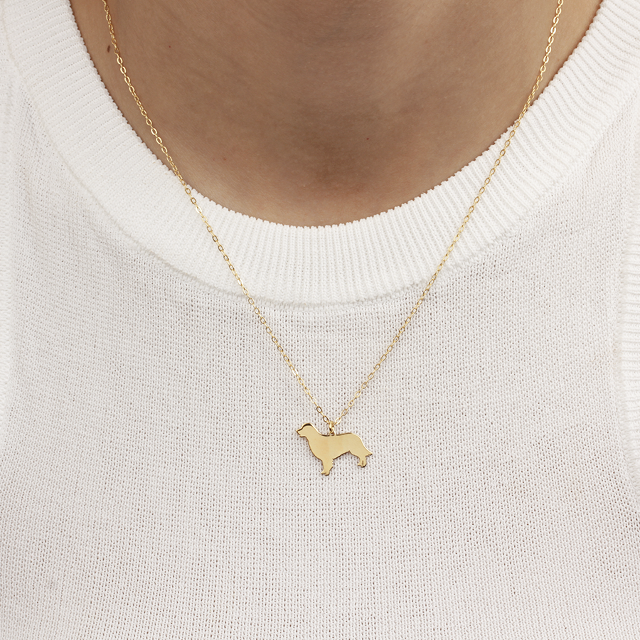 Collar Personalizable Golden Retriever Plata