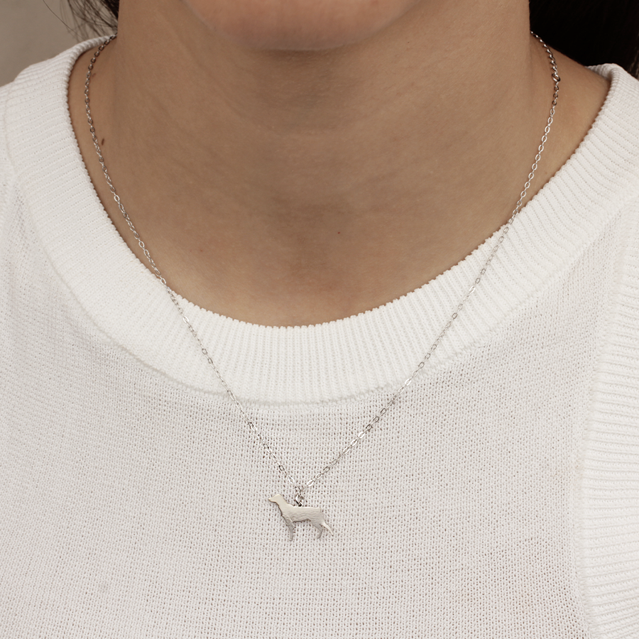 Collar Personalizable Bretón