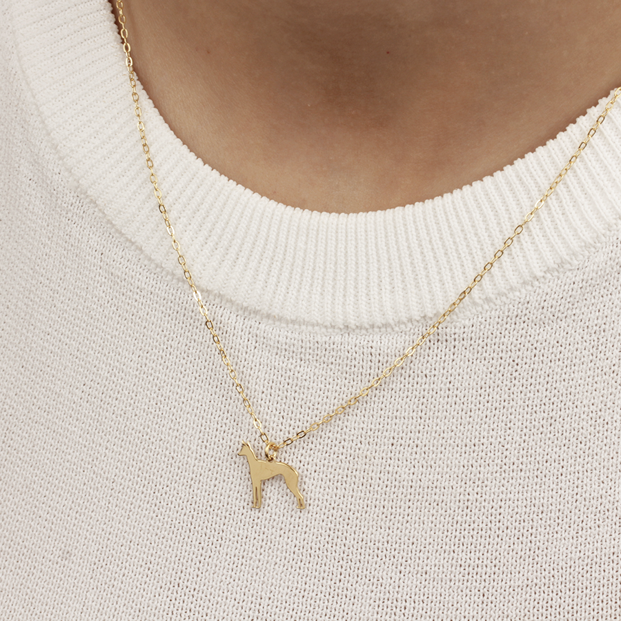 Collar Personalizable Podenco