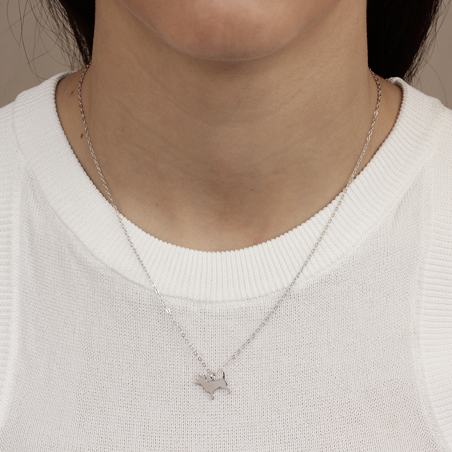 Collar Personalizable Chiguagua