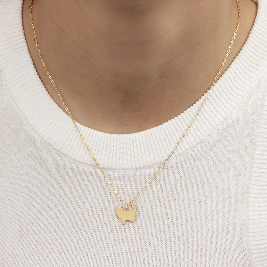 Collar Personalizable Gato con pelo largo