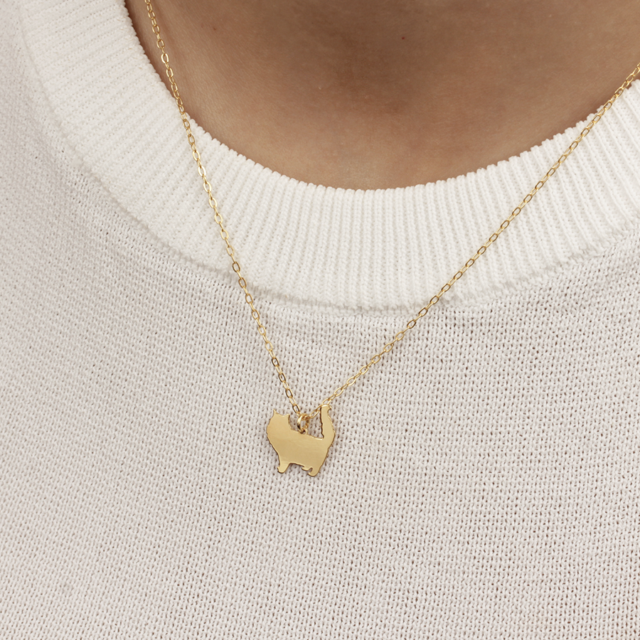 Collar Personalizable Gato con pelo largo