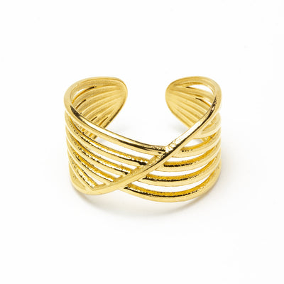 Anillo Fénix Ajustable de Acero
