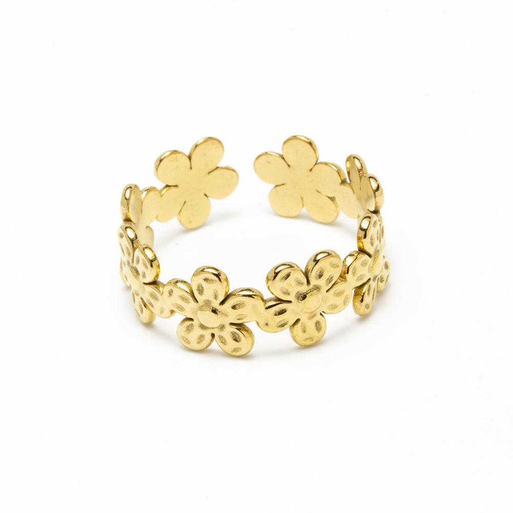 Anillo Marga Ajustable Acero