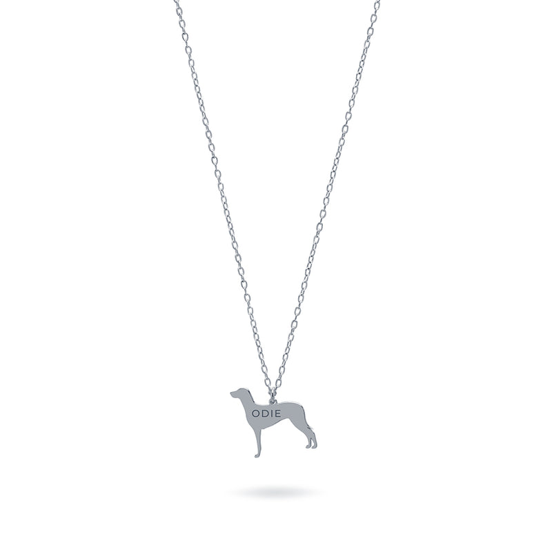 Collar Personalizable Braco de Weimar Plata